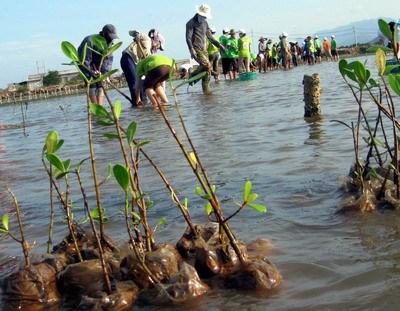 Nâng cao ý thức người dân ứng phó với biến đổi khí hậu (5/3/2018)