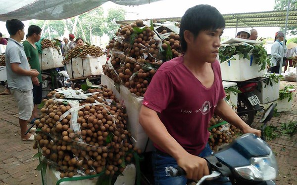 Vì sao việc xây dựng thương hiệu cho nông sản Việt lại khó khăn? (14/4/2018)