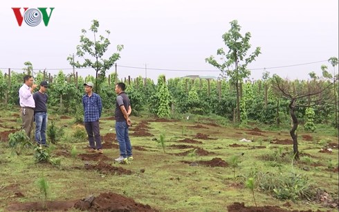 Gia Lai: Hàng chục nghìn mét vuông đất rừng bỗng nhiên bị hô biến thành đất…cán bộ (13/4/2018)