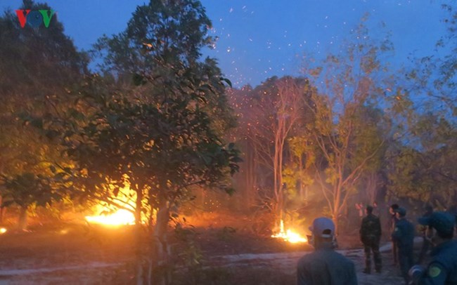 Cháy rừng nghiêm trọng tại Khu bảo tồn thiên nhiên Tà Cú, huyện Hàm Thuận Nam, tỉnh Bình Thuận (Thời sự đêm 7/4/2018)