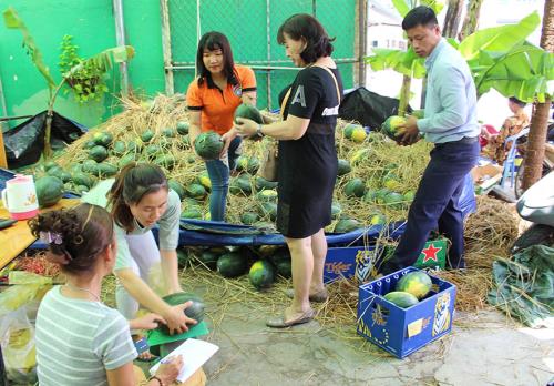 Tìm đầu ra cho thị trường nông sản – Bài toán khó (7/5/2018)