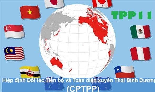 Hiệp định Đối tác Tiến bộ và Toàn diện xuyên Thái Bình Dương (CPTPP): Cơ hội hay thách thức đối với doanh nghiệp Việt Nam (25/5/2018). 