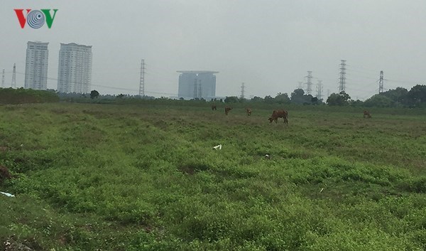 Bình Dương: Nỗi lo từ số giá ảo đất nền (18/5/2018)