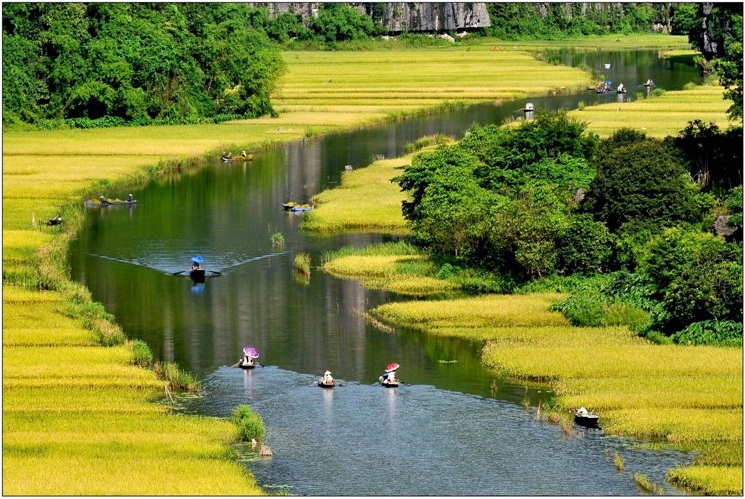 Tuần Du lịch Ninh Bình năm 2018 với chủ đề “Sắc vàng Tam Cốc - Tràng An” (12/6/2018)