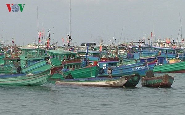 Giám sát hành trình tàu cá: Khó vẫn phải làm (8/7/2018)