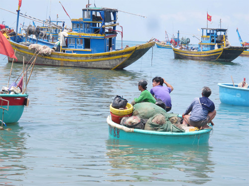 Nhức nhối tình trạng đánh bắt tận diệt ở Ninh Thuận (12/8/2018)