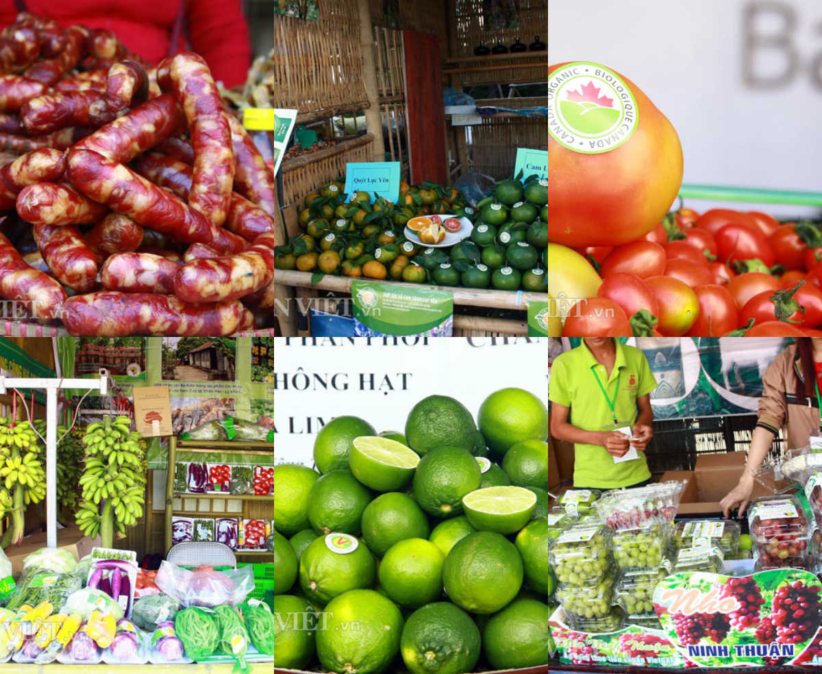 Bài toán tìm thị trường cho nông sản, đặc sản (14/8/2018)