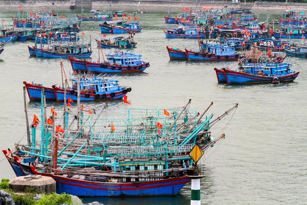 Để ngư dân có thể chủ động ứng phó với mưa bão (15/8/2018)