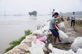 Các địa phương chủ động ứng phó với bão số 4 (15/8/2018)