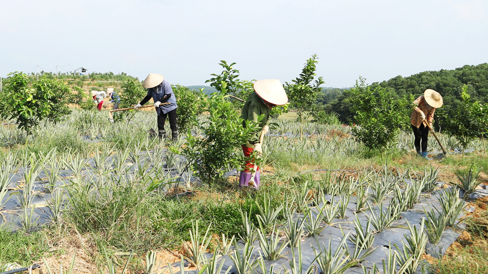 Dự thảo Luật Trồng trọt - Quản lý tốt giống cây để phát triển trồng trọt bền vững (13/8/2018)