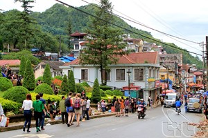 Những điểm sáng trong phát triển kinh tế của tỉnh Lào Cai (11/1/2019)