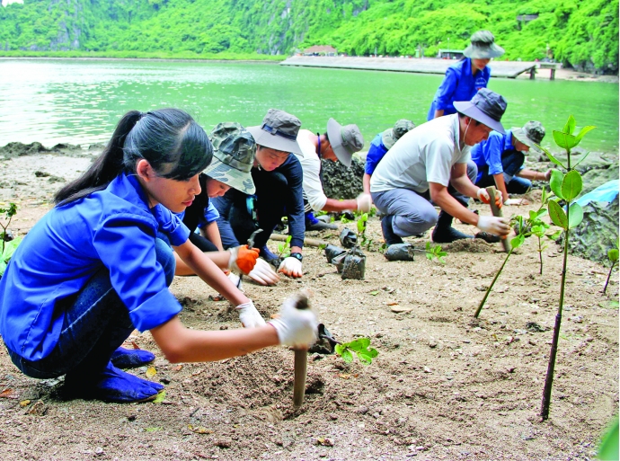 Biến đổi khí hậu và hành động của tuổi trẻ (2/1/2019)