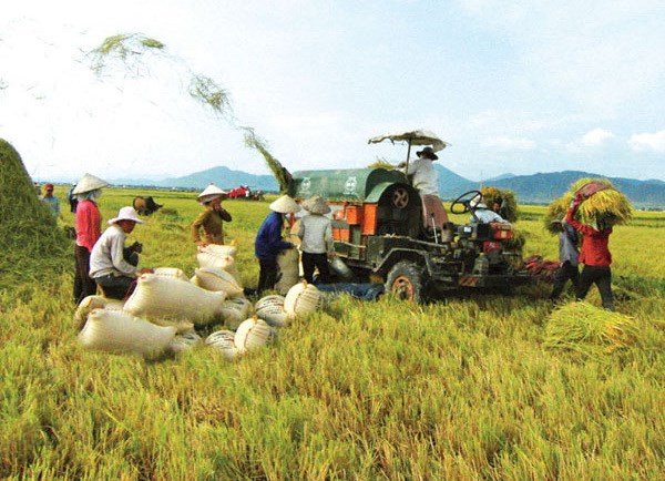 Những yếu tố tạo nên sự thay đổi về “chất” trong mô hình Hợp tác xã kiểu mới (9/1/2019)