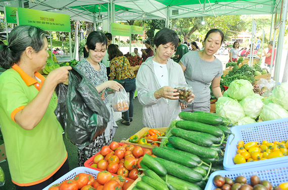 Hợp tác xã – kênh phân phối sản phẩm nông nghiệp an toàn (26/1/2019)