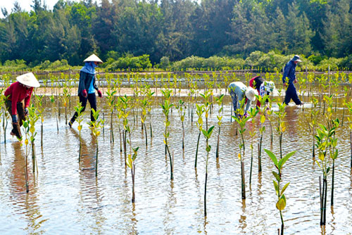 Định hướng nông dân cách canh tác để ứng phó với biến đổi khí hậu (22/1/2019)