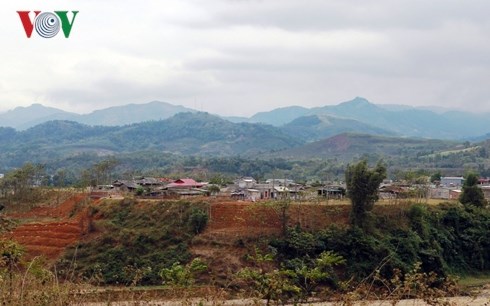 Mùa xuân hồi sinh trên vùng lũ Văn Chấn, Yên Bái (30/1/2019)