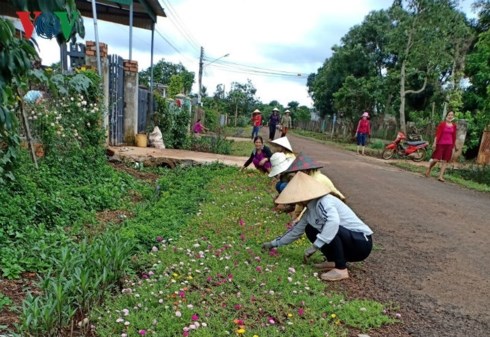 Xuân về trên xã Nông thôn mới Ea Tar,  huyện Cư M’gar, tỉnh Đắk Lắk (25/1/2019)