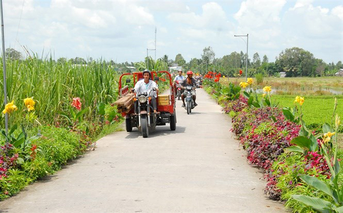 Nông thôn mới ưu tiên gỡ khó tiêu chí môi trường (5/10/2019)