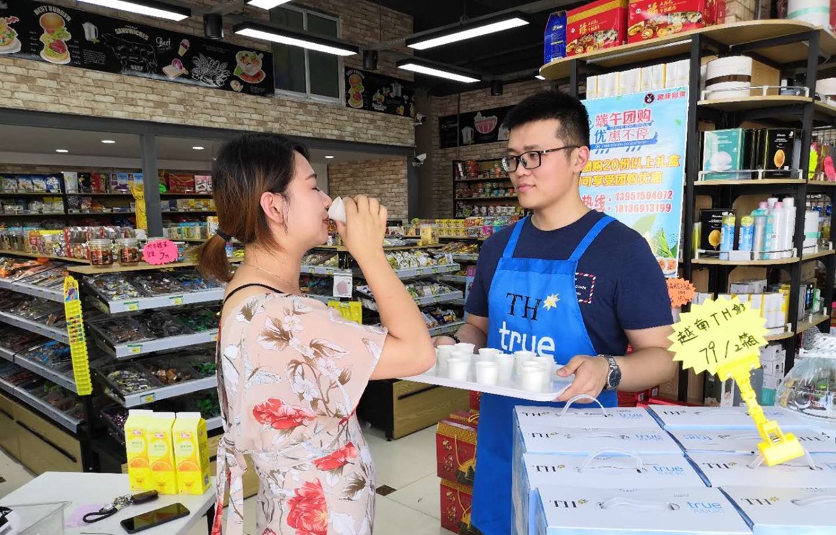Xuất khẩu sữa tươi chính ngạch sang Trung Quốc - Cơ hội phát triển cho ngành sữa Việt Nam (28/10/2019)