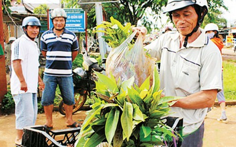 Sau hơn nửa chặng đường của mục tiêu giảm nghèo bền vững, số hộ nghèo đã giảm rõ rệt.(10/10/2019)