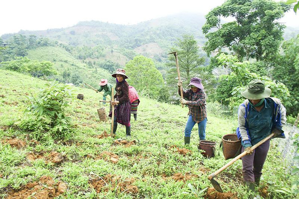 Đổi mới cách giải quyết tình trạng thiếu đất ở , đất sản xuất theo hướng tiếp cận sinh kế bền vững tại vùng đồng bào dân tộc (9/10/2019)