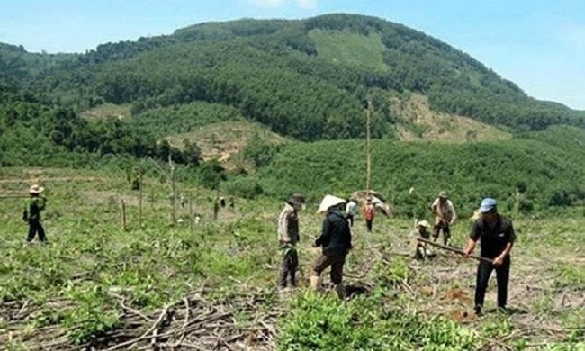 Quản lý đất nông lâm trường vẫn còn nhiều bất cập (27/11/2019)