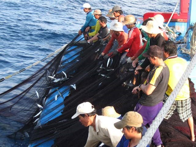 Ngư dân đoàn kết cùng nhau làm ăn trên biển (23/12/2019)