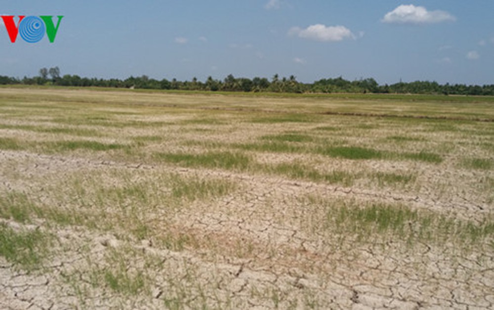 Loạt bài: Ứng phó với thách thức an ninh nguồn nước ở Đồng bằng Sông Cửu long – Bài đầu tiên có nhan đề: “Nước cạn giữa mùa lũ: Từ thiên tai đến nhân tai” (16/12/2019)