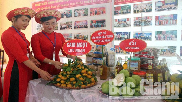 THỜI SỰ 18H00 CHIỀU 1/12/2019: Hơn 1 tấn trái cây và những loại nông sản đặc sản đặc trưng của tỉnh Bắc Giang được giới thiệu đến người tiêu dùng Thủ đô và những địa phương lân cận