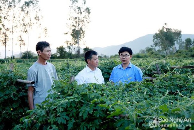 Làm gì để đánh giá, xếp loại chất lượng tổ chức Đảng và đảng viên cuối năm đảm bảo chất lượng? (17/12/2019)