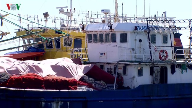 Thực trạng các tàu đánh bắt hải sản được đóng từ vốn vay nghị định 67 gặp khó khăn ở nhiều địa phương (5/12/2019)