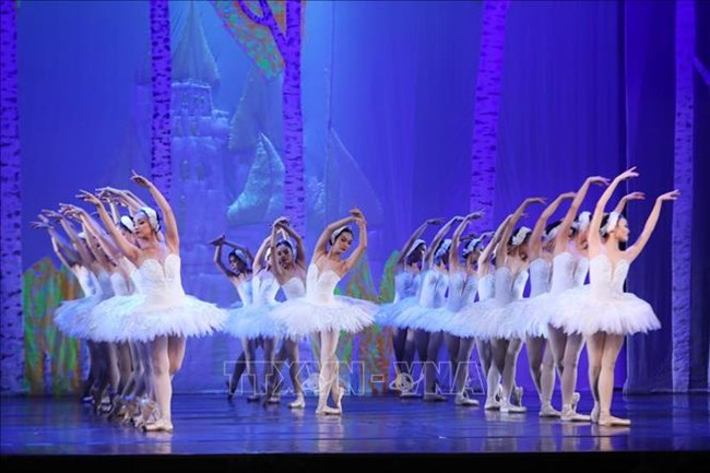 Vở vũ kịch “Hồ thiên nga” của Tchaikovsky do các nghệ sĩ của Nhà hát Nhạc Vũ Kịch Việt Nam dàn dựng theo phong cách mới (10/12/2019)