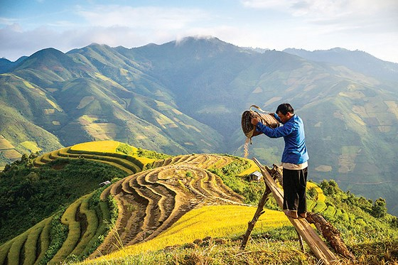 Diện mạo mới trên quê hương vợ chồng A Phủ mùa xuân này (Thời sự sáng 7/2/2019)