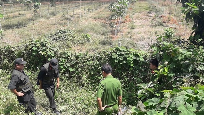 Tìm ra nghi phạm vụ cướp trạm thu phí Thành phố Hồ Chí Minh - Long Thành - Dầu Giây (Thời sự đêm 7/2/2019)