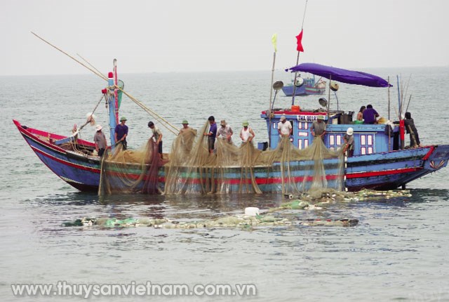 Bình Định phát huy vai trò cộng đồng trong bảo vệ nguồn lợi thủy sản (11/2/2019)