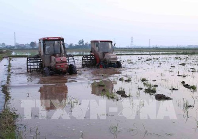 Nhiều địa phương vùng Đồng bằng Bắc Bộ đã lấy đủ nước phục vụ gieo cấy vụ Đông Xuân 2019, đạt hơn 92% kế hoạch (Thời sự đêm 16/2/2019)