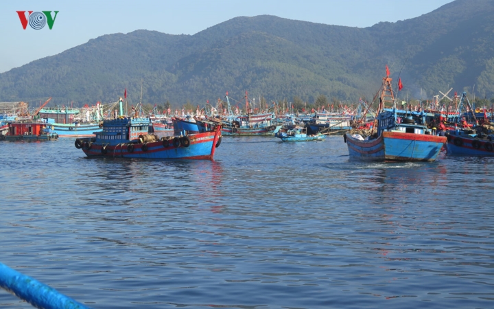 Ngư dân rộn ràng ra khơi đầu năm (18/2/2019)