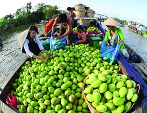 Giải pháp tăng giá trị nông sản nhờ phát triển du lịch (12/3/2019)