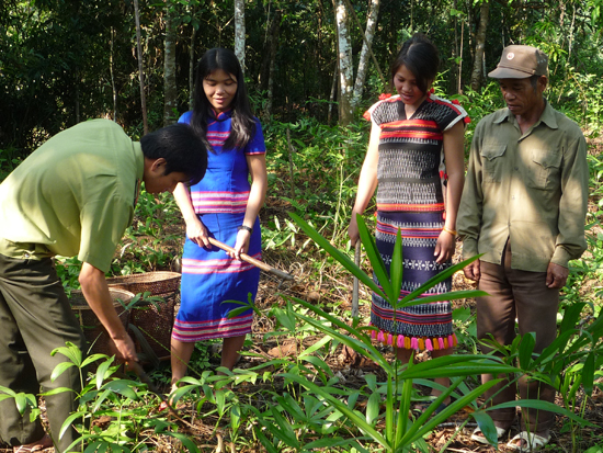 Tạo sinh kế bền vững cho đồng bào để giữ rừng (20/3/2019)