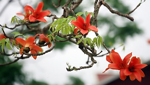 Nơi tình yêu đi qua (9/3/2019)