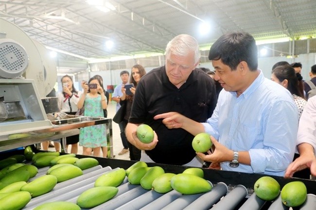 Sản xuất xoài sạch – chinh phục thị trường thế giới (25/3/2019)