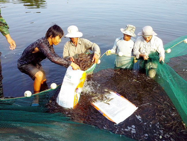 Những thành tựu nổi bật của ngành thủy sản trong 60 năm qua (1/4/2019)