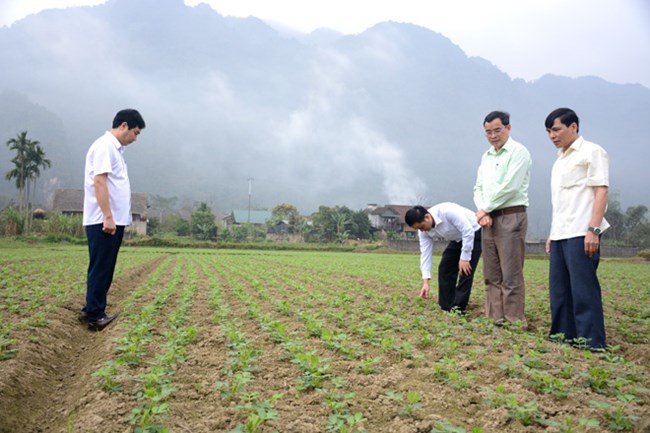 Ngành Nông nghiệp và những giải pháp vượt qua nhiều khó khăn những tháng đầu năm 2019 (23/4/2019)