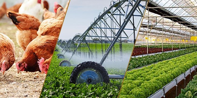 Cần tăng cường hợp tác, liên kết sản xuất và tiêu thụ sản phẩm nông nghiệp (13/4/2019)