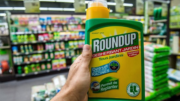 Loại Glyphosate khỏi danh mục thuốc bảo vệ thực vật được phép sử dụng (11/4/2019)