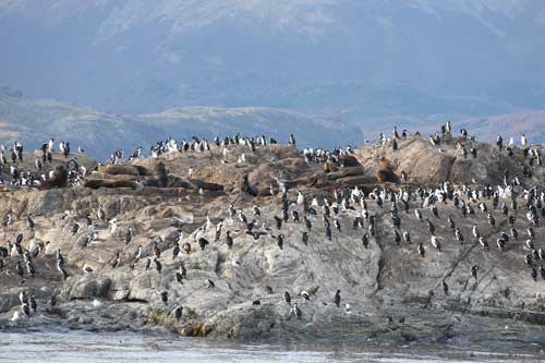 Khám phá thành phố tận cùng thế giới: Ushuaia ở Argentina (25/5/2019)