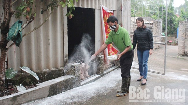 Bắc Giang có lơ là trong công tác phòng chống dịch tả lợn Châu Phi? (15/5/2019)