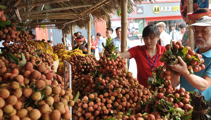 Giải pháp nào thúc đẩy xuất khẩu vải thiều trong năm 2019? (21/5/2019)