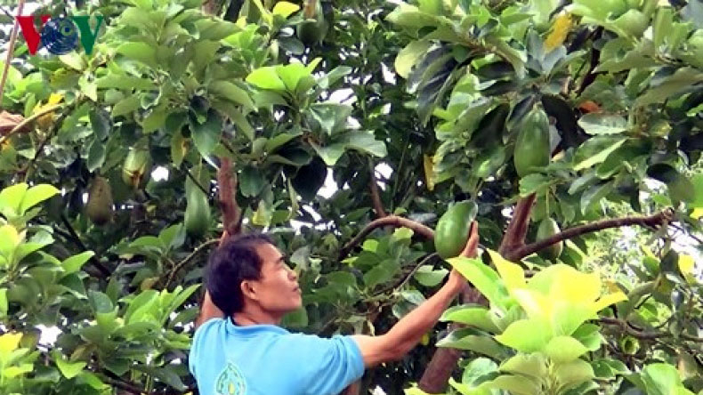 Bài viết cuối trong loạt bài “Nông nghiệp Tây Nguyên: Tìm động lực cho giai đoạn mới” với nhan đề “Đề cao văn hóa nông nghiệp, khích lệ tinh thần doanh nhân” (17/5/2019)