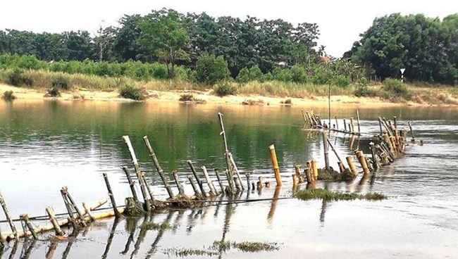 Thừa Thiên Huế: dân đóng cọc tre xuống sông ngăn cát tặc (10/5/2019)